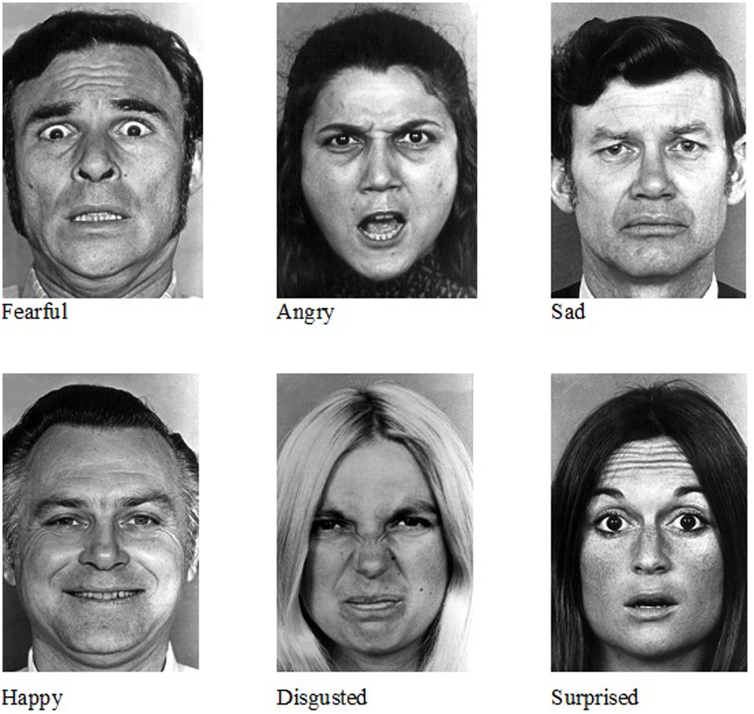 Autism facial expression recognition test