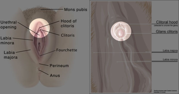 How To Give Orgasm To Woman