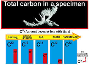 What Is Wrong With Carbon Dating