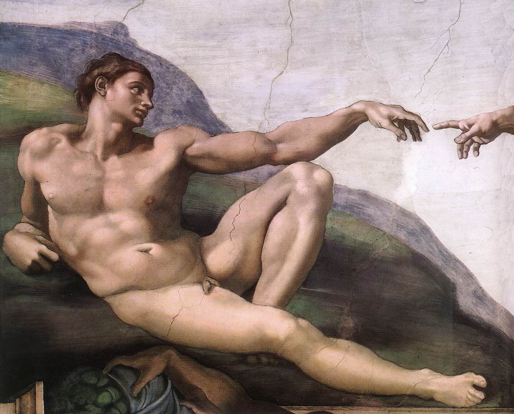 Sex In Human Being
