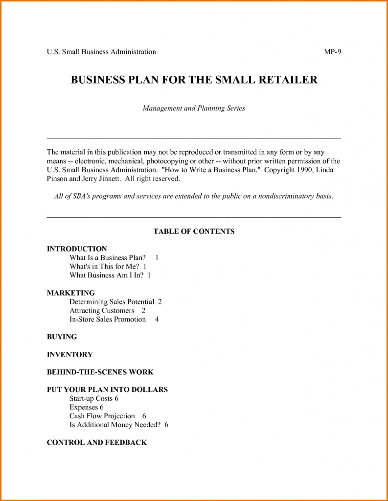 Sample Business Plan For Dating Website